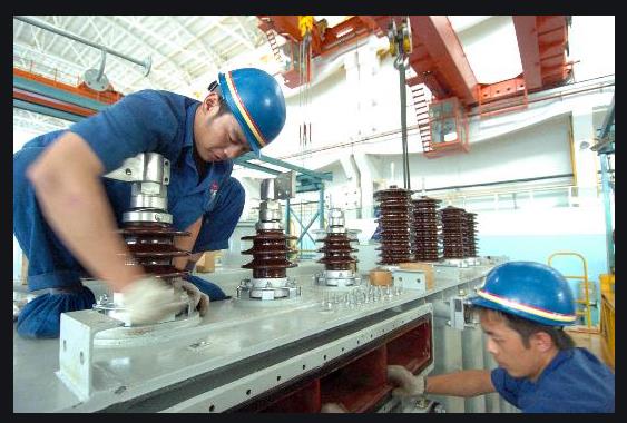福建电工证在哪里查询